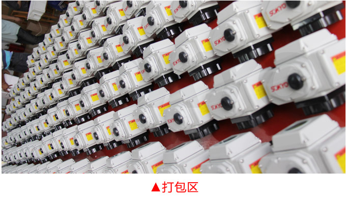 電動調(diào)節(jié)閥,YTDG-RS電動調(diào)節(jié)蝶閥,電動蝶閥物流包裝打包區(qū)