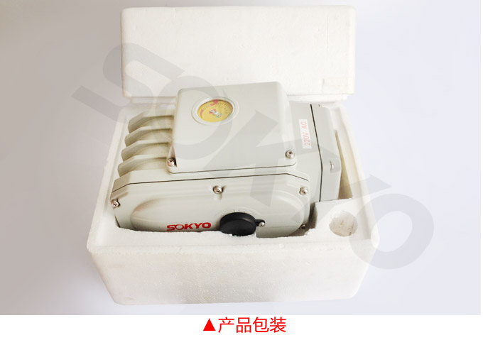 電動(dòng)執(zhí)行機(jī)構(gòu),YTDG-RKB200電動(dòng)執(zhí)行器,電動(dòng)頭產(chǎn)品包裝2