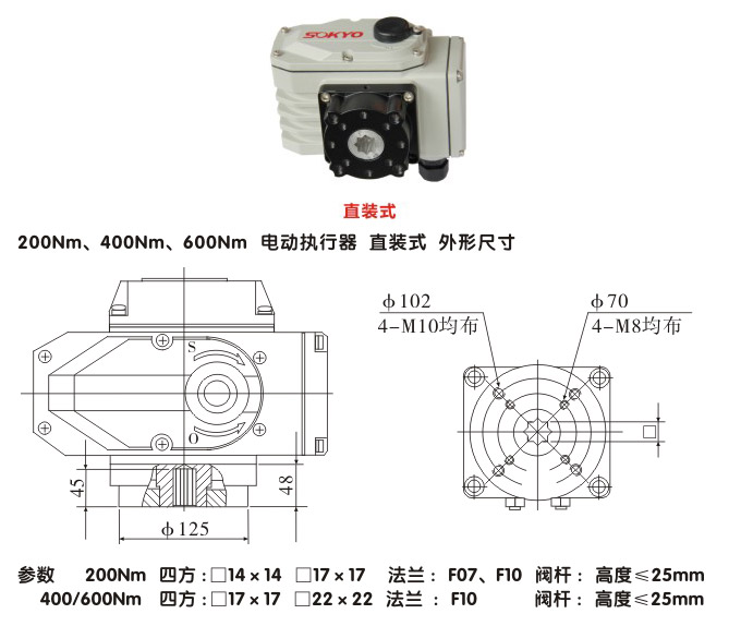電動(dòng)執(zhí)行機(jī)構(gòu),YTDG-RKB200電動(dòng)執(zhí)行器,電動(dòng)頭結(jié)構(gòu)圖,直裝式