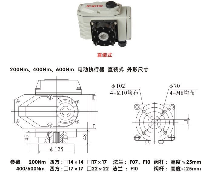 智能電動執(zhí)行器,YTDZ-RS200智能電動執(zhí)行機構(gòu)結(jié)構(gòu)圖,直裝式