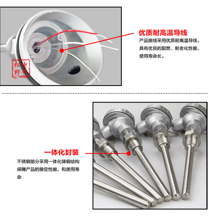 智能溫度變送器,DFW一體化溫度變送器細節(jié)圖3